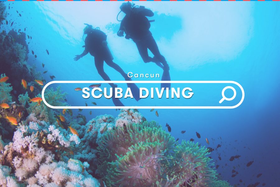Activities: Scuba Diving For Beginners